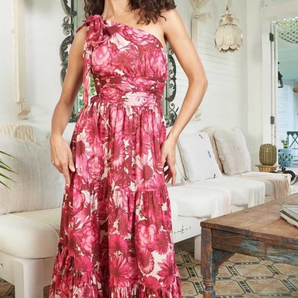 NWT Cara Cara Mattera Maxi Dress - Picture 3 of 9